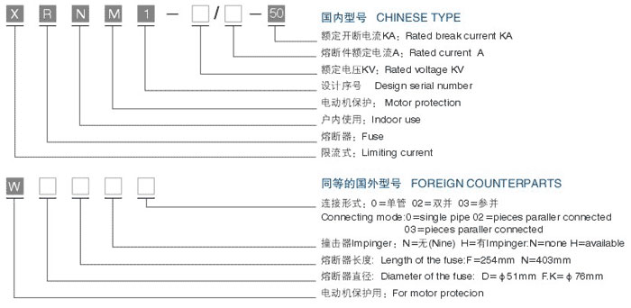 High voltage fuse manufacturer recommended